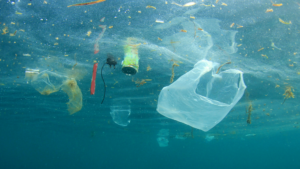 Plastico en los mares de miami